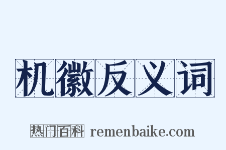 机徽反义词是什么意思的图片